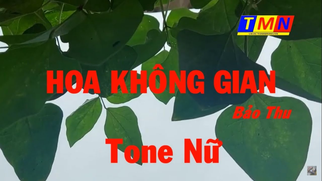[KARAOKE] Hoa không gian (Bảo Thu Pre.75) – Tone Nữ (Em) – #coverbytmn