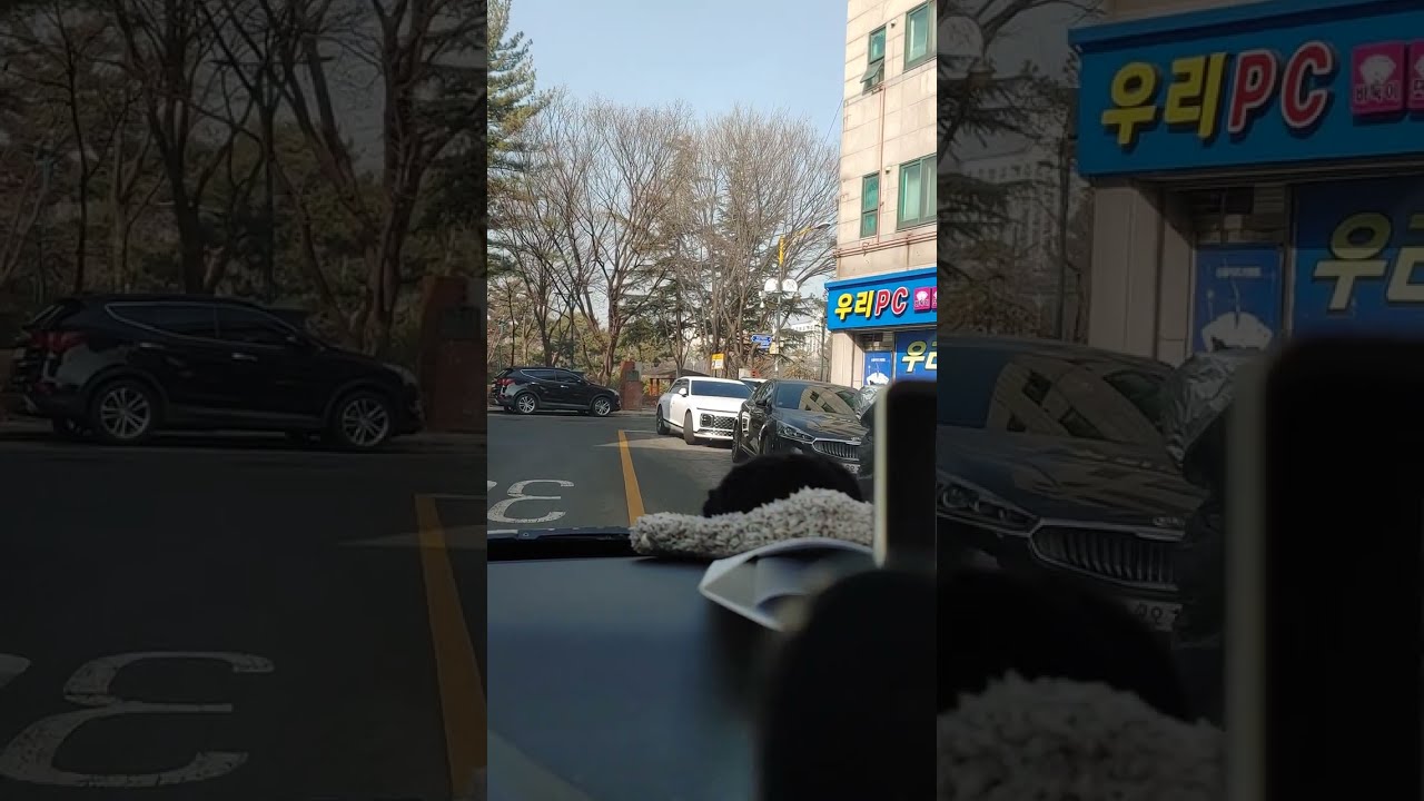 낮 안개가 낀 상황? 운전 왕초보 기아 레이 드라이브 4