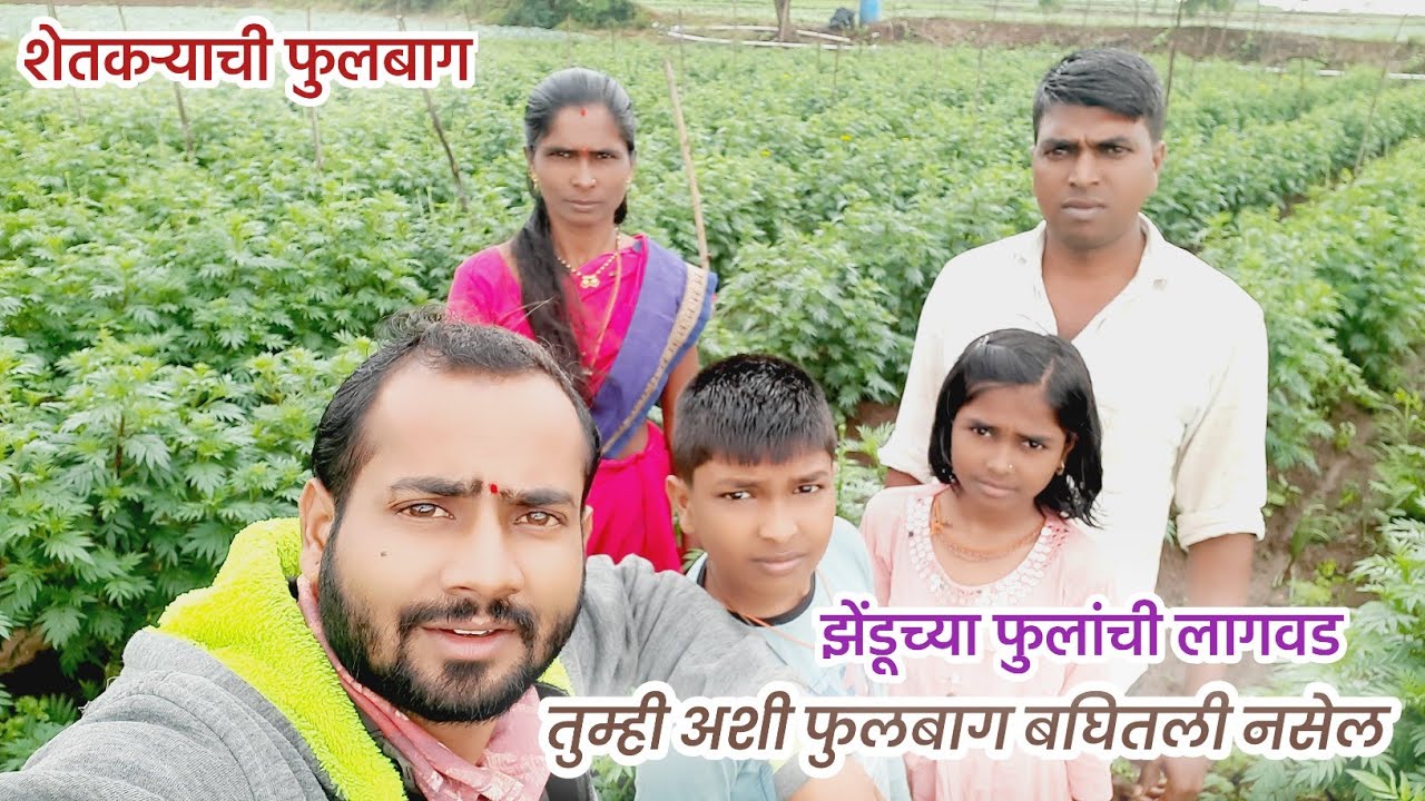 शेतकऱ्याची फुलबाग। Royal Shetkari Vlog।Marathi Shetkari Vlog।Village Vlogger। Shetkari Vlogger।Viral