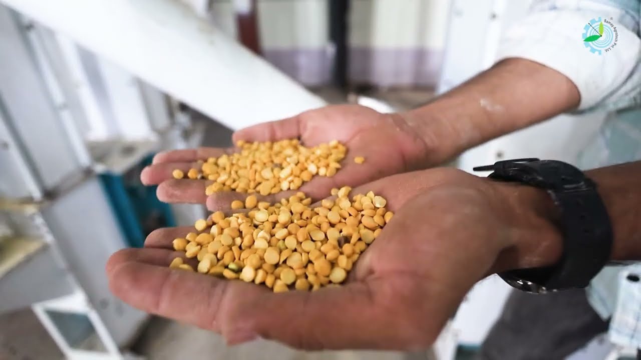 Fully Automatic Dal mill plant | दाल मिल प्लांट | start new business today