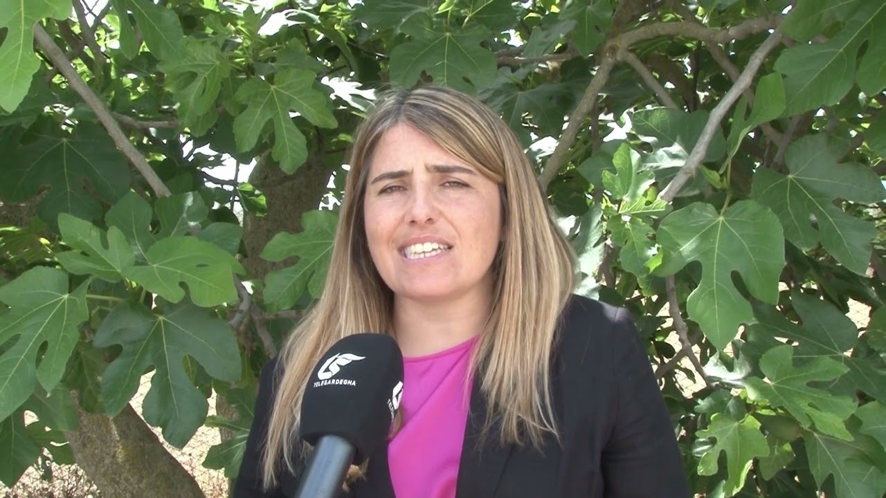 Cagliari. Tyrrhenian Link Comitato presenta un esposto alla Procura della Repubblica 22 05 24
