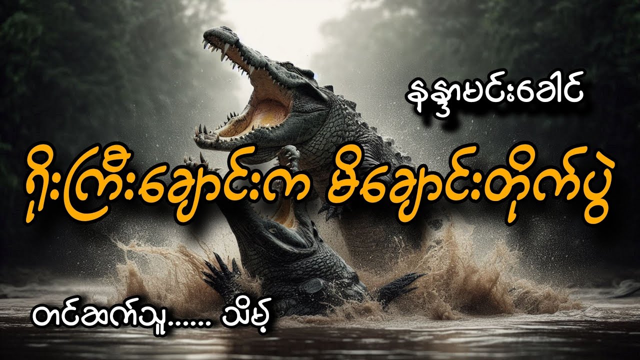 #ရိုးကြီးချောင်းက မိချောင်းတိုက်ပွဲ#နန္ဒာမင်းခေါင်#သိမ့်