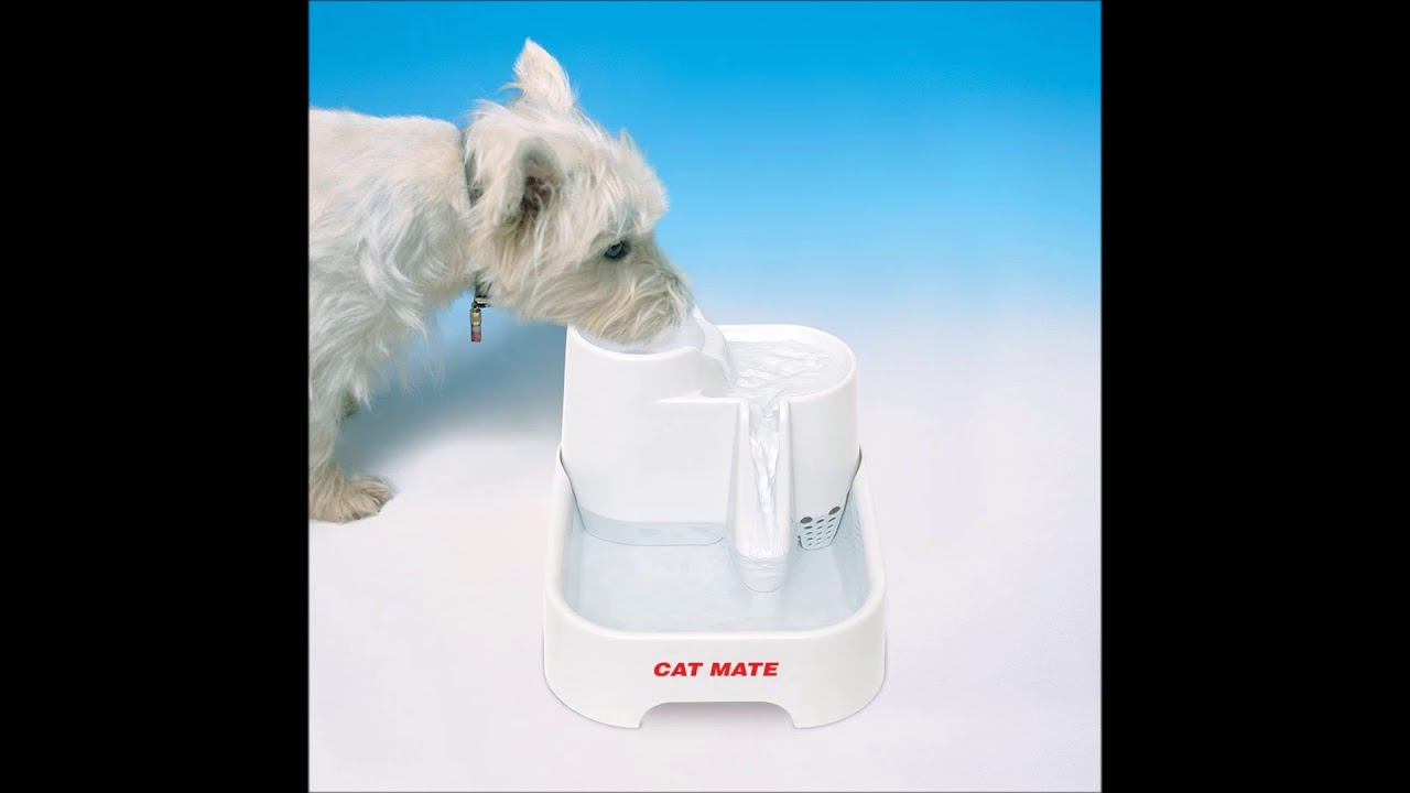 Cat Mate Pet Fountain Reviews - 70 Fluid Oz