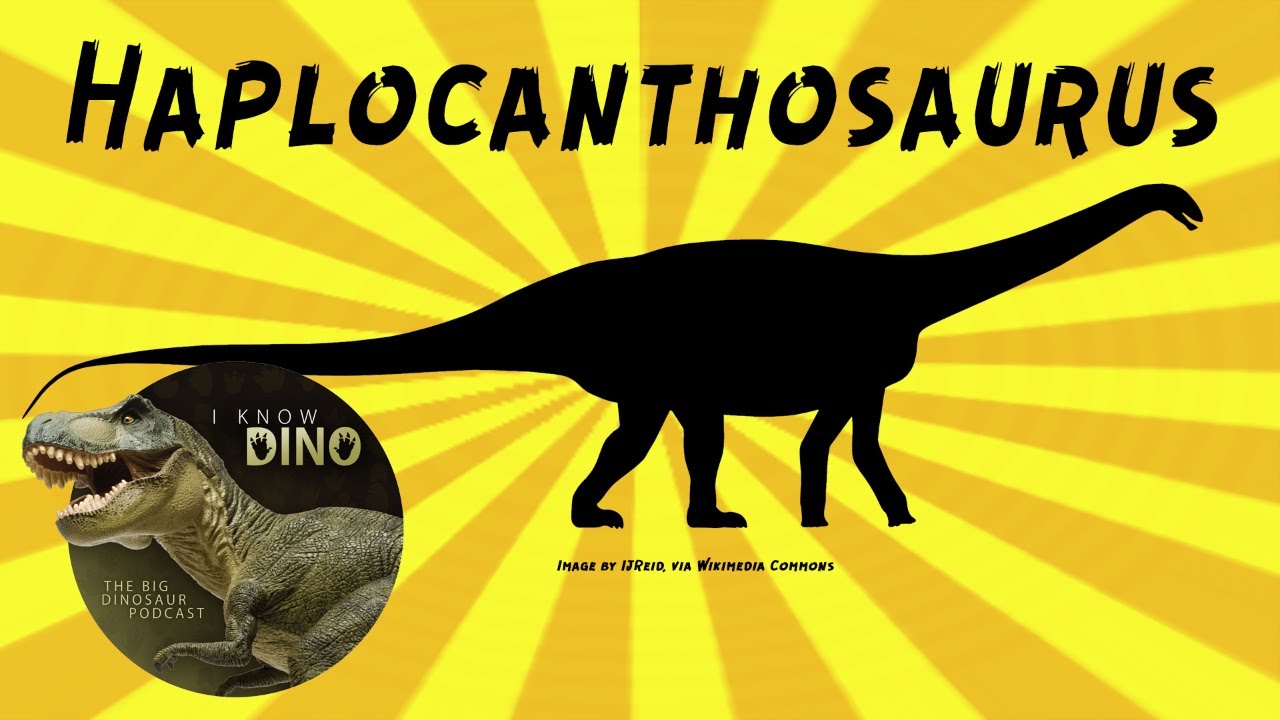 Haplocanthosaurus: Dinosaur of the Day