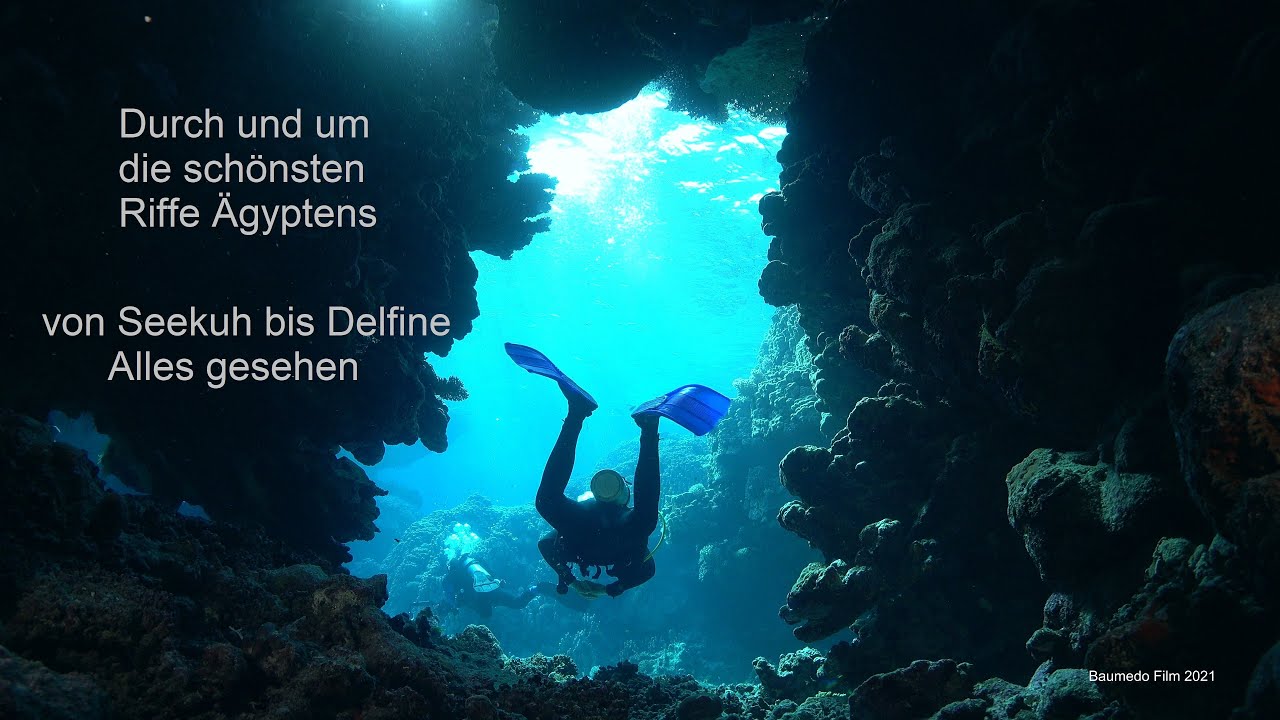 Spektakul&auml;re Tauchsafari, Rotes Meer, S&uuml;dtour mit der Golden Dolphin III. Seekuh, Hai, Delfin