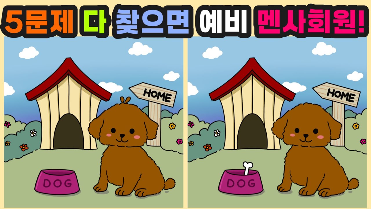 Day45 [다른그림찾기/틀린그림찾기/Find the Difference/치매예방/두뇌훈련] 5문제 다 찾으신 분은 예비 멘사회원입니다.!