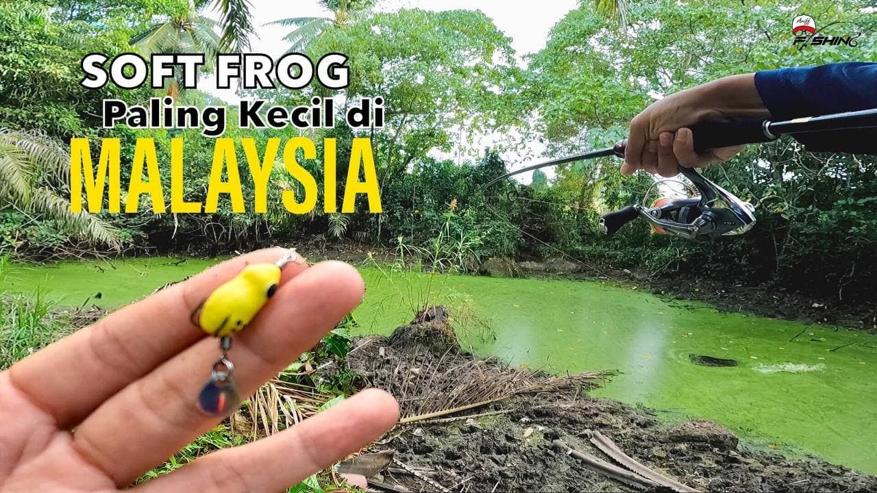 Soft Frog Saiz Berudu Tapi Dapat Haruan Babon | Banyak Strike Guna Katak Hand Made BUFO
