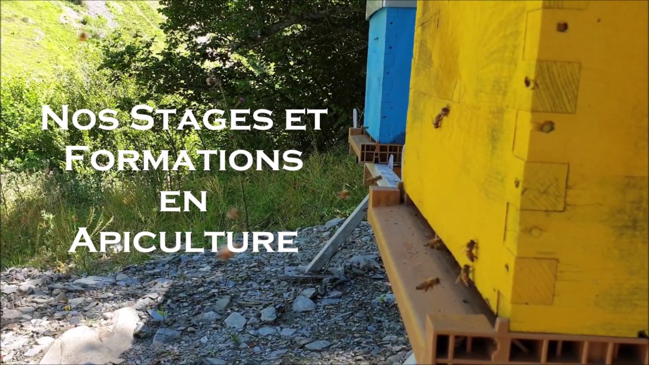 [Hobees Apiculture] Formation apicoles au lac d'Estaing
