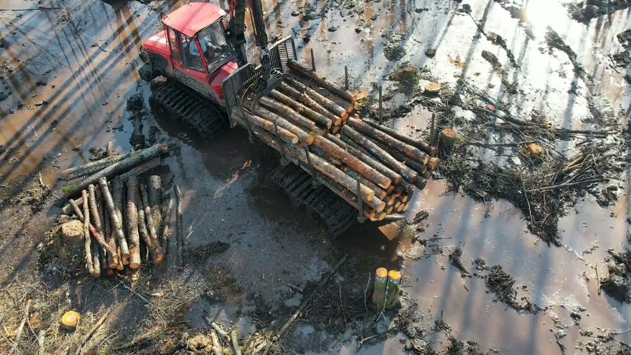 Pavasaris purviņā
