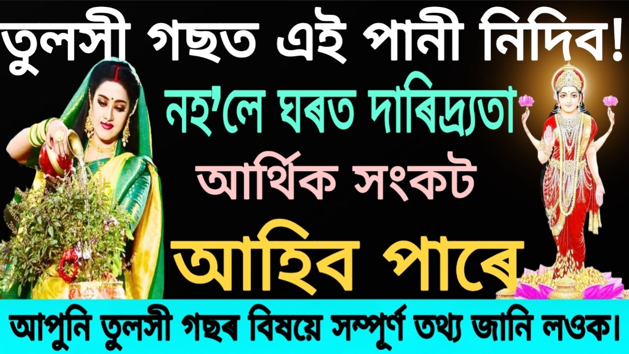 তুলসী গছত এই পানী নিদিব! নহ’লে ঘৰত দাৰিদ্ৰ্য আৰু আৰ্থিক সংকট আহিব পাৰে | Tulsi Plant Tips Assamese