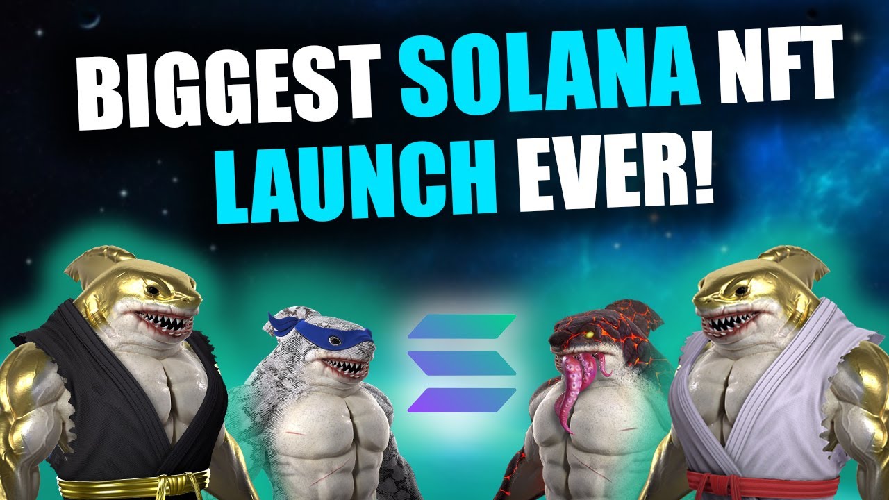 BIGGEST NFT LAUNCH EVER ON SOLANA!?! *MUST WATCH* (Rogue Sharks NFT Overview)