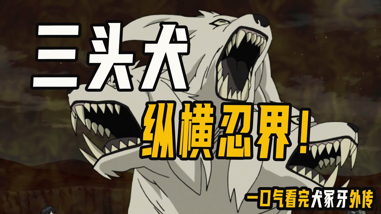 变身三头恶犬纵横忍战，一刀斩断十尾分身，一口气看完犬冢牙外传