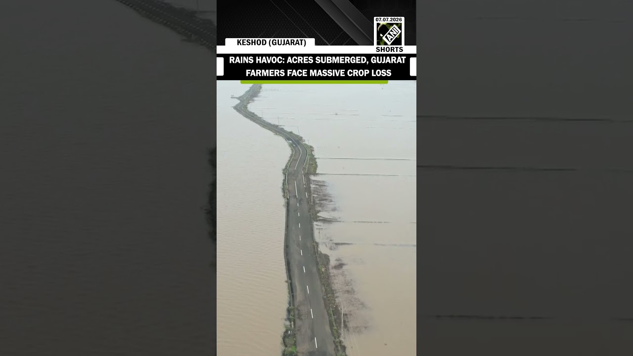 Gujarat Rains Havoc: Acres of farmland submerged, farmers face massive crop loss in Keshod