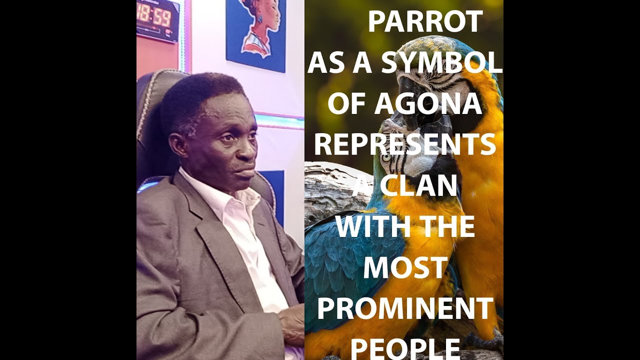 🦜PARROT AS A SYMBOL OF AGONA REPRESENTS A CLAN WITH THE MOST PROMINENT PEOPLE ON EARTH.🔥🔥🔥