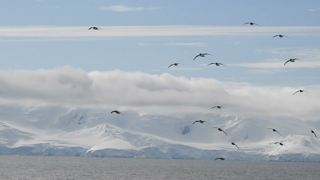 Antarctica I