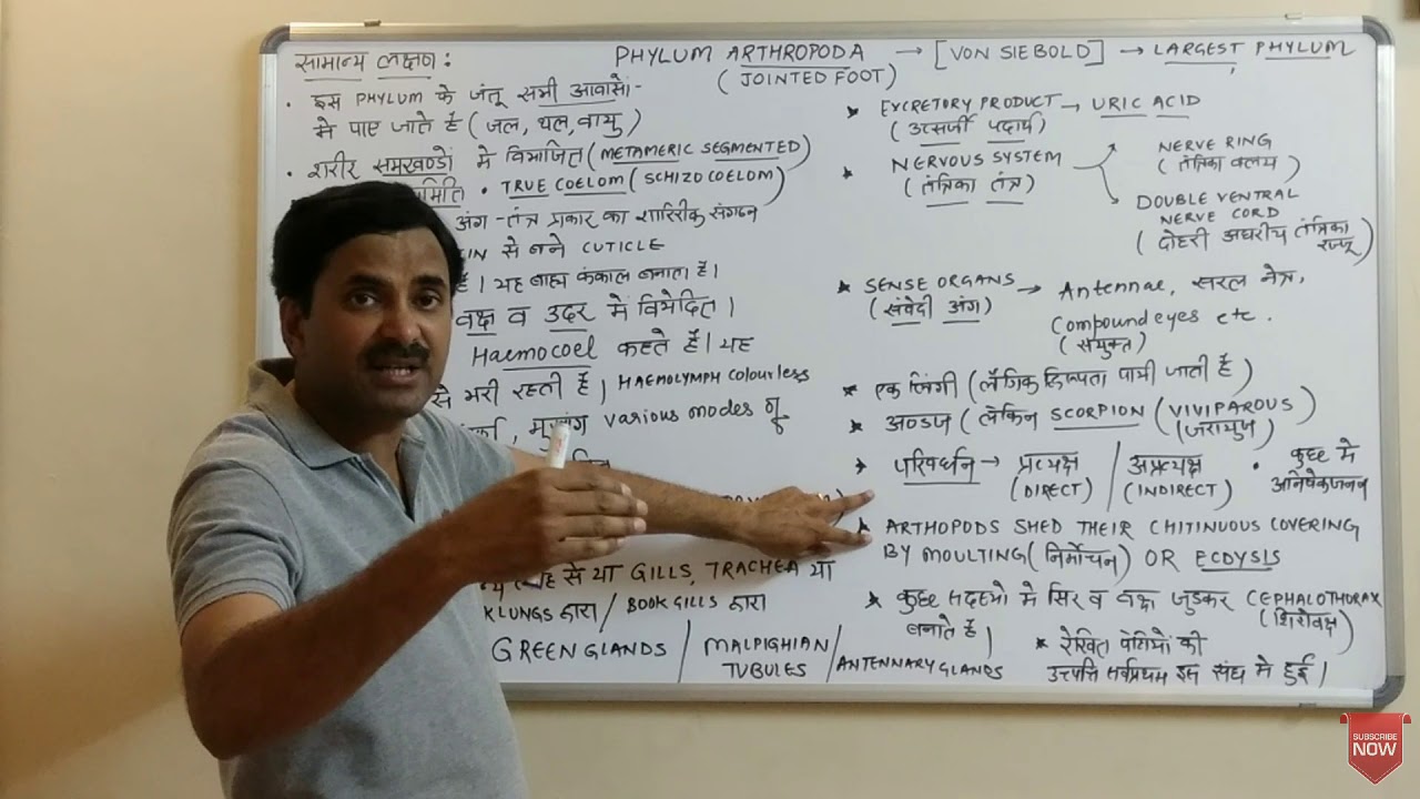 Phylum Arthropoda (Animal Kingdom) Hindi Medium