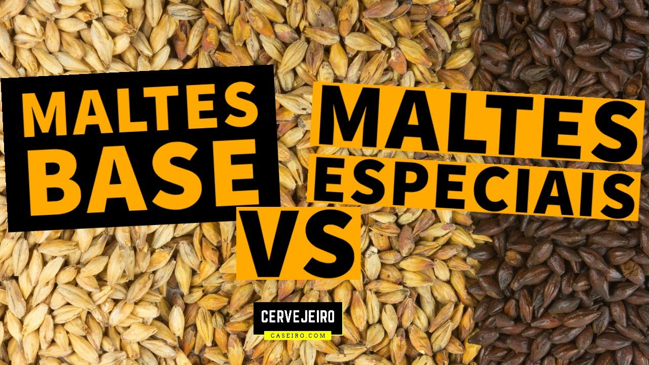 MALTES BASE E MALTES ESPECIAIS: VEJA COMO CADA UM DELES CONTRIBUI EM SUA CERVEJA