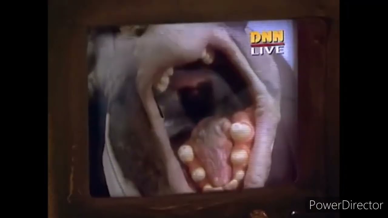 bp Richfield yells at tv funny video