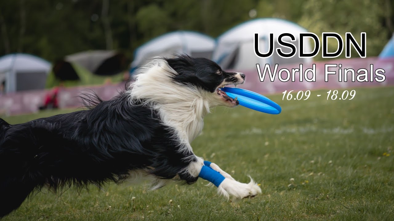 USDDN World Finals Dogfrisbee 2022 Freestyle Super Open | Poznań