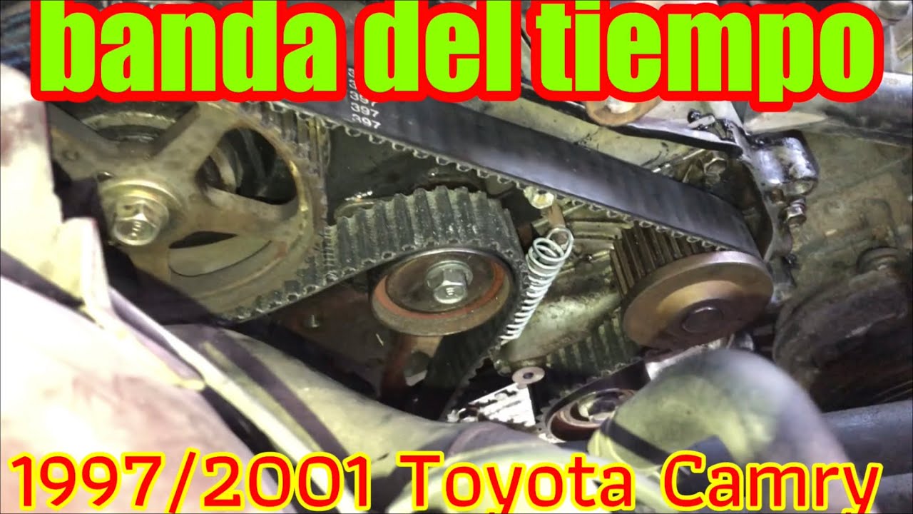 2001 Toyota Camry Banda de tiempo