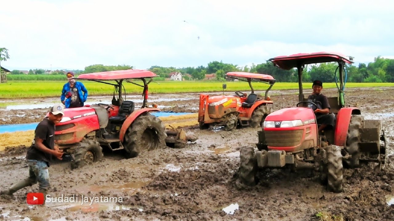 TIGA TRAKTOR SAWAH BESAR YANMAR EF393T EF494T KUBOTA L4018 DALAM SATU LAHAN BY PAK BASUKI dkk