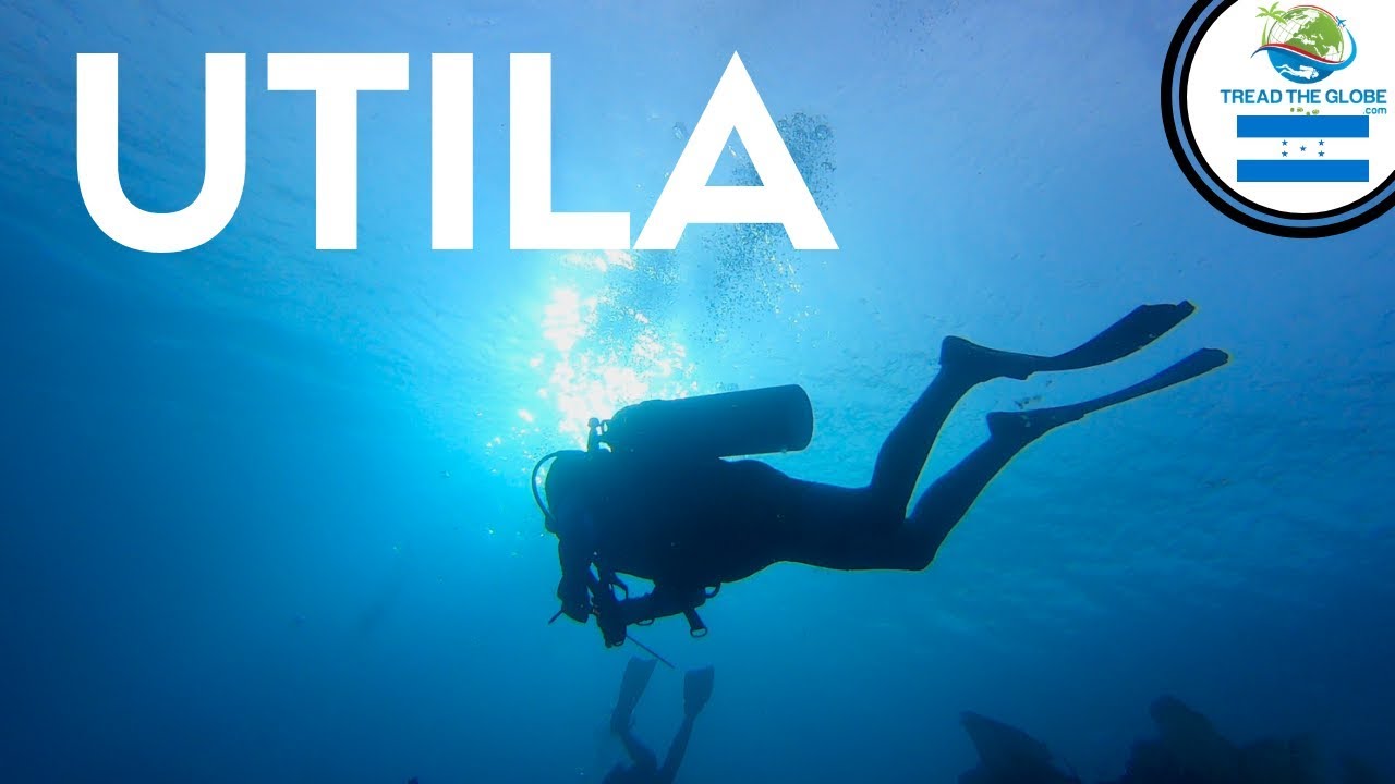 Scuba diving in UTILA Honduras  Backpacking Central America [S3-E52]