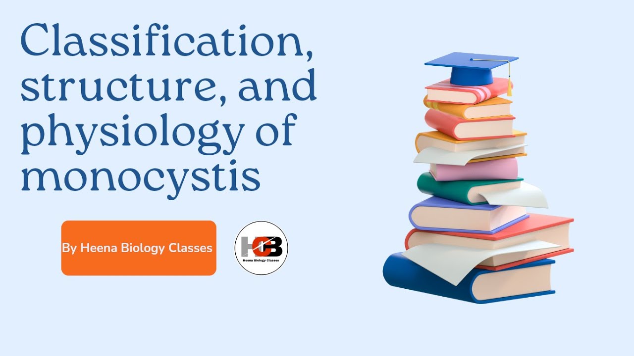 Monocystis ||  classification structure and physiology of monocystis. #monocystis #biology