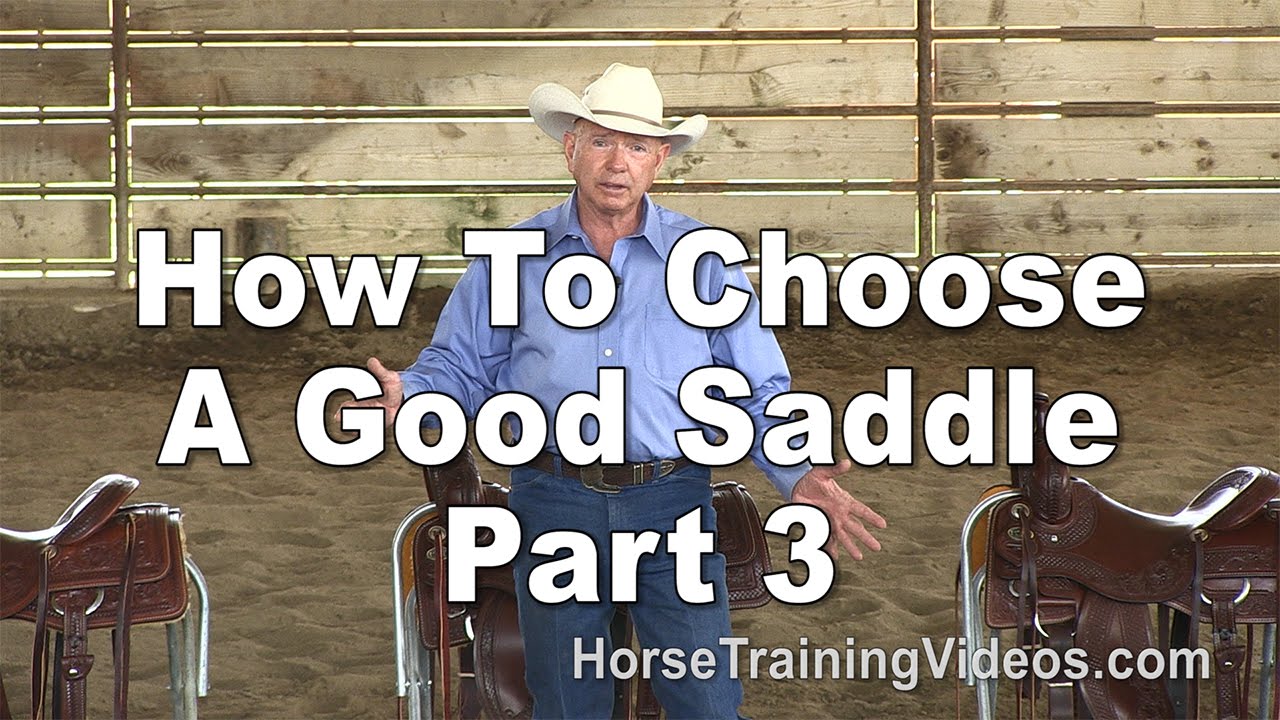 Saddle Video Series - Part 3 - Western Saddle Fitting for Horse and Rider
