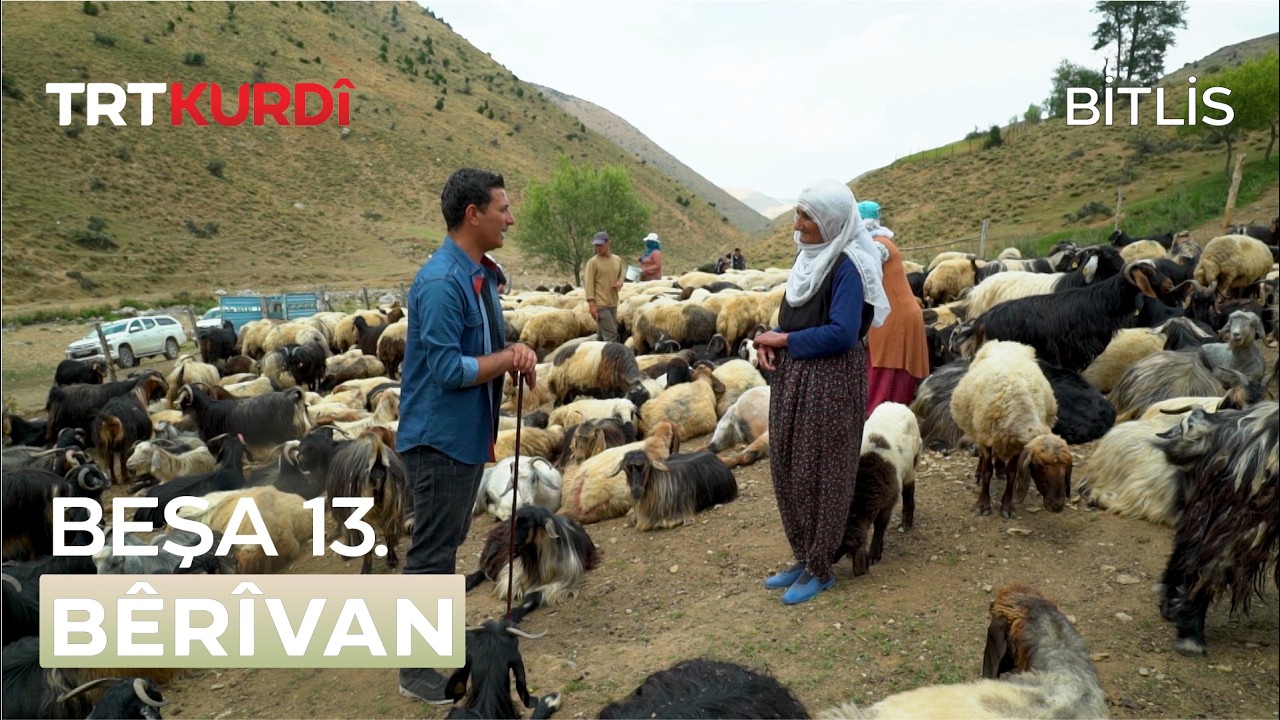Bêrîvan - Beşa 13.(Bitlis)