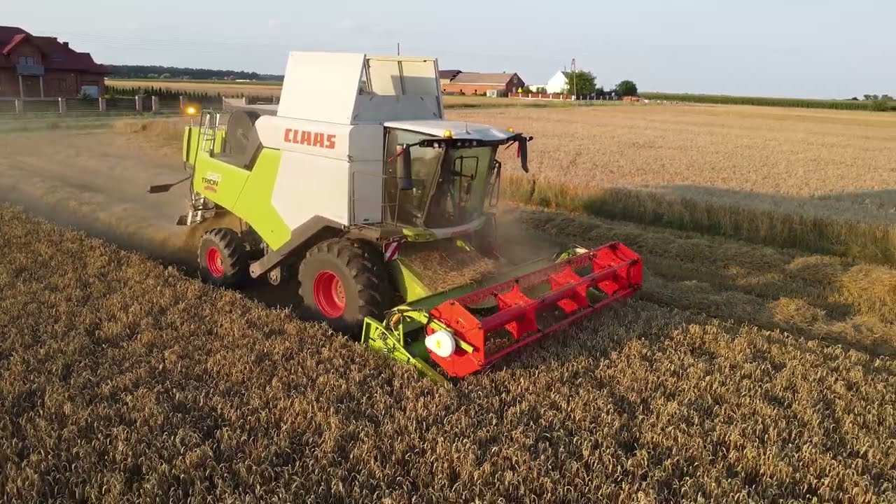 Żniwa 2024/ Pszenica /Claas Trion 520/ Arion 610+Pronar
