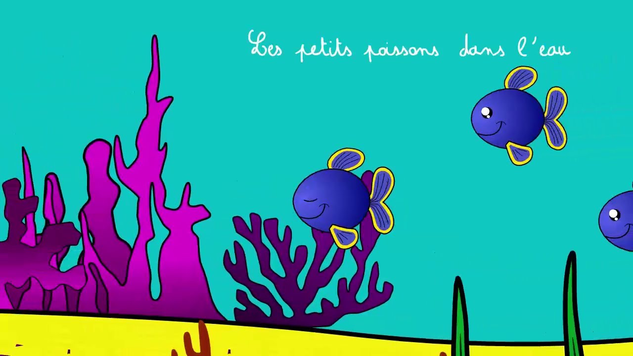 Les petits poissons dans l'eau