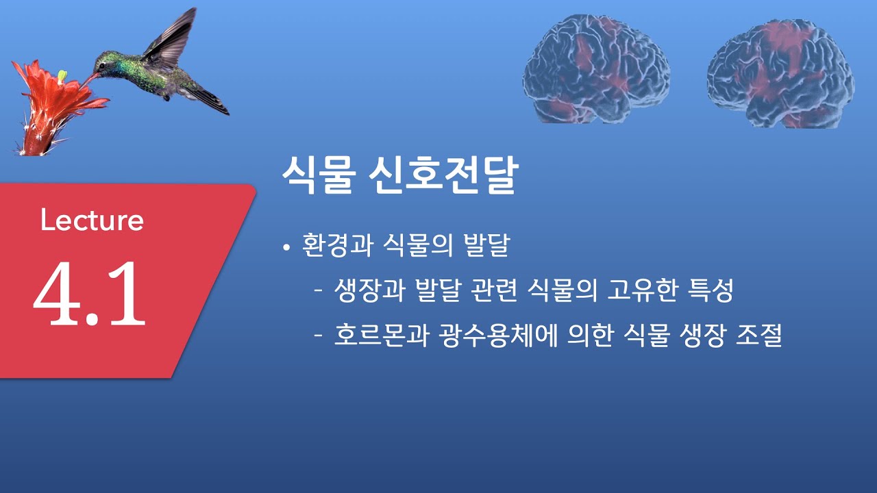 Lecture_4_1_일반생물2_SMWU_2020_S