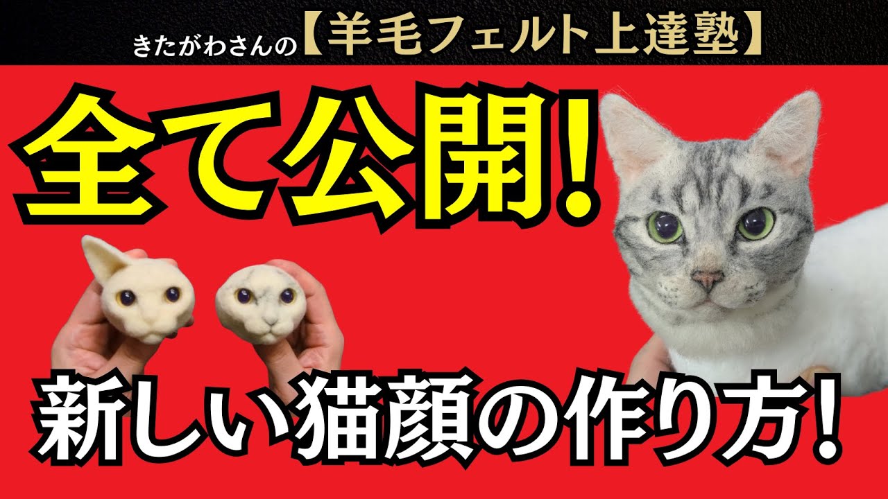 【超有料級】全て公開！新しい猫顔の作り方！
