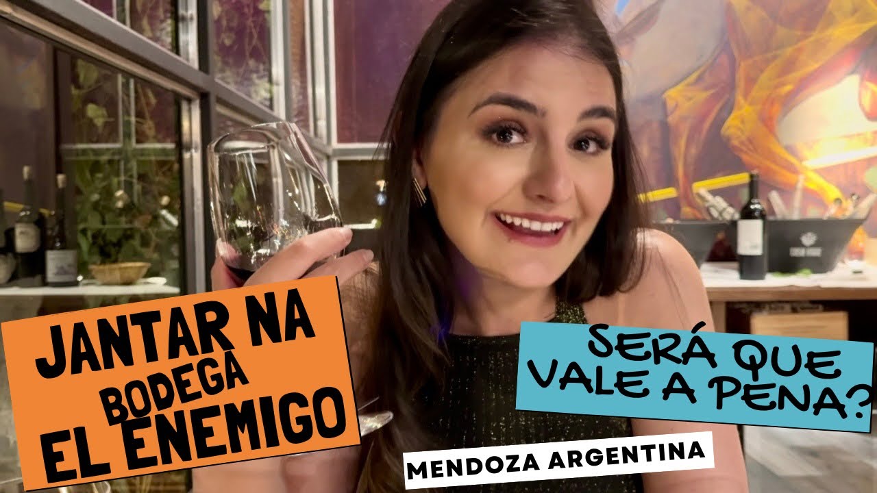 ESSE FOI O NOSSO JANTAR MAIS CARO DE MENDOZA #casavigil #elenemigo #oquefazeremmendoza #mendoza2024