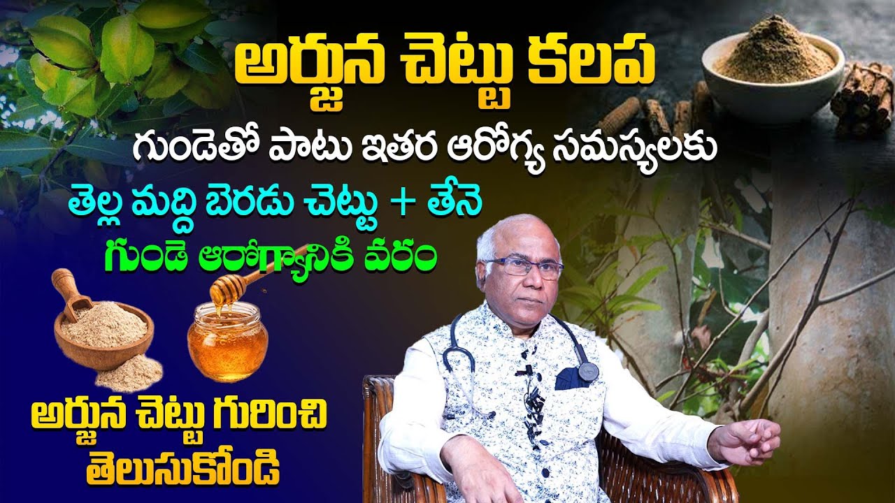 గుండె ఆరోగ్యానికి అర్జున చెట్టు రహస్యం | Arjuna Tree Benefits for Heart Health | Dr. CL Venkat Rao