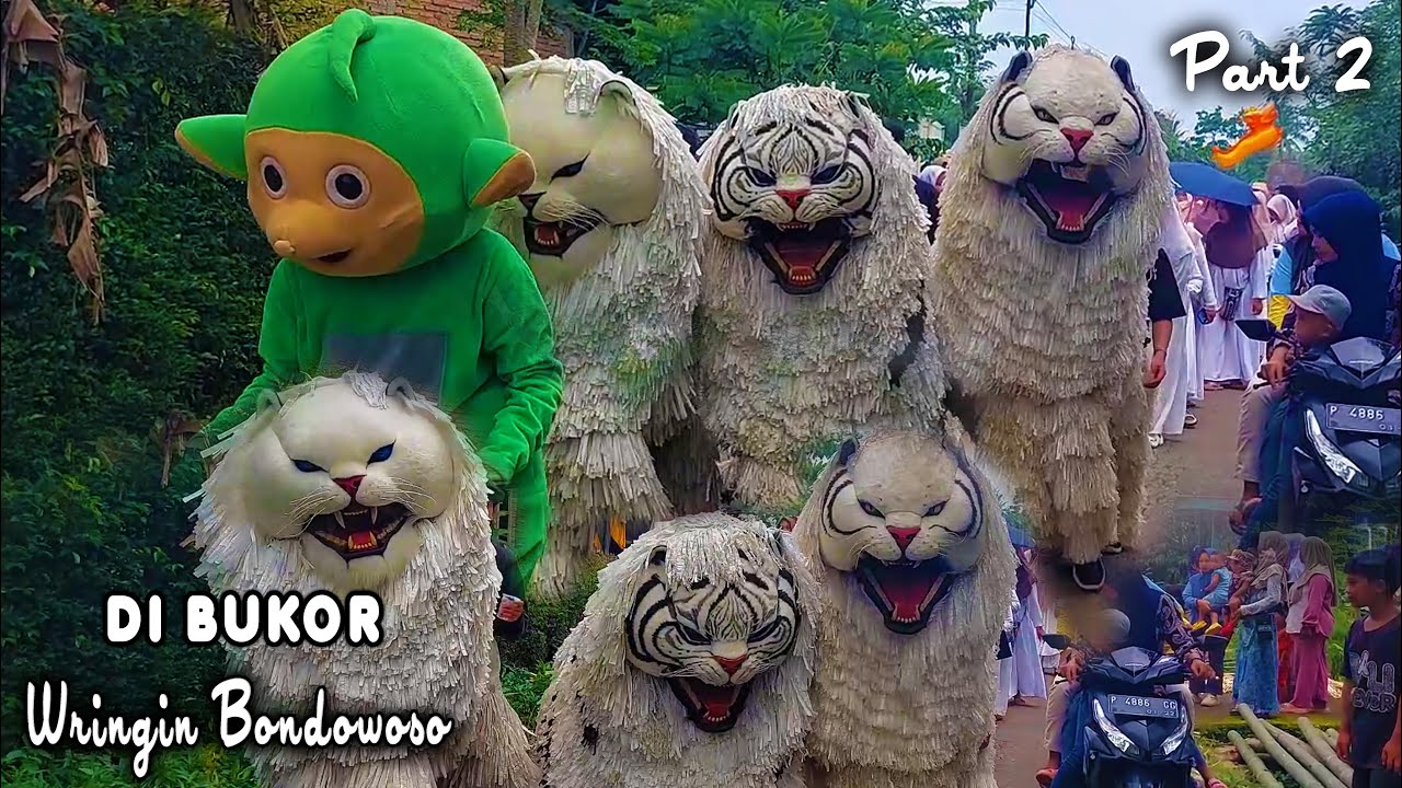 KIRAB CAN MACANAN DAN DRUMBAND SINGO MANGGALA DI BUKOR WRINGIN BONDOWOSO PART2.mp4