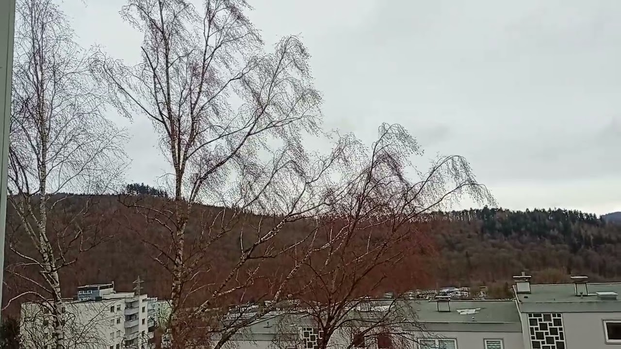 Ein neues Sturmtief bringt Windböen bis 60km/h in Meschede am 19.2.2026.🌪️