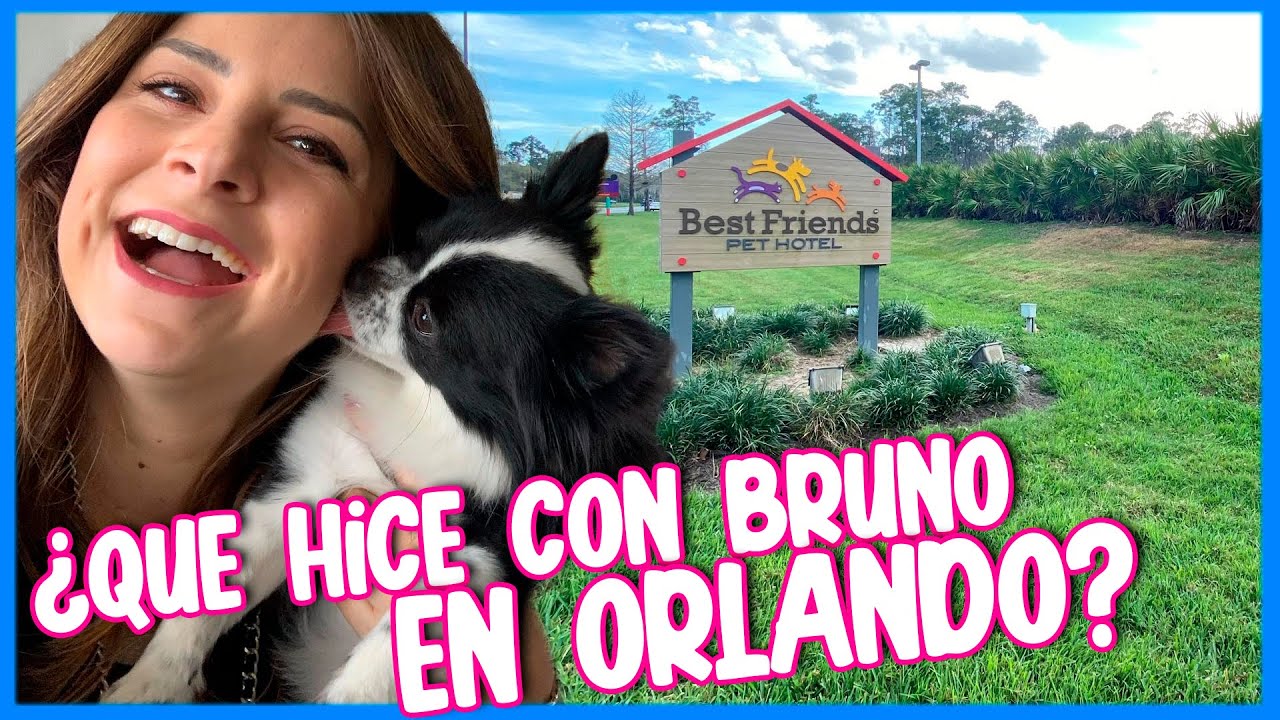 Hotel de perros en Orlando