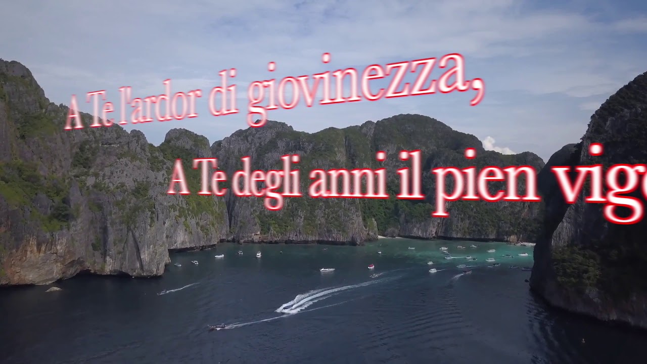 NON FOGLIE, NO
