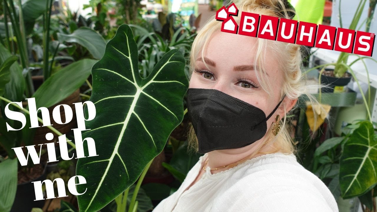 PFLANZEN Shop with me | Follow me around bei BAUHAUS 🪴 + HAUL ✨ *RARITÄTEN*