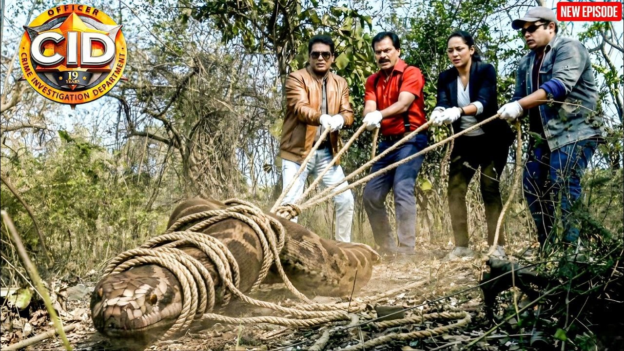 CID Team जंगल से खत्म किया एनाकोंडा का आतंक ! || CID || Latest  Episode ||