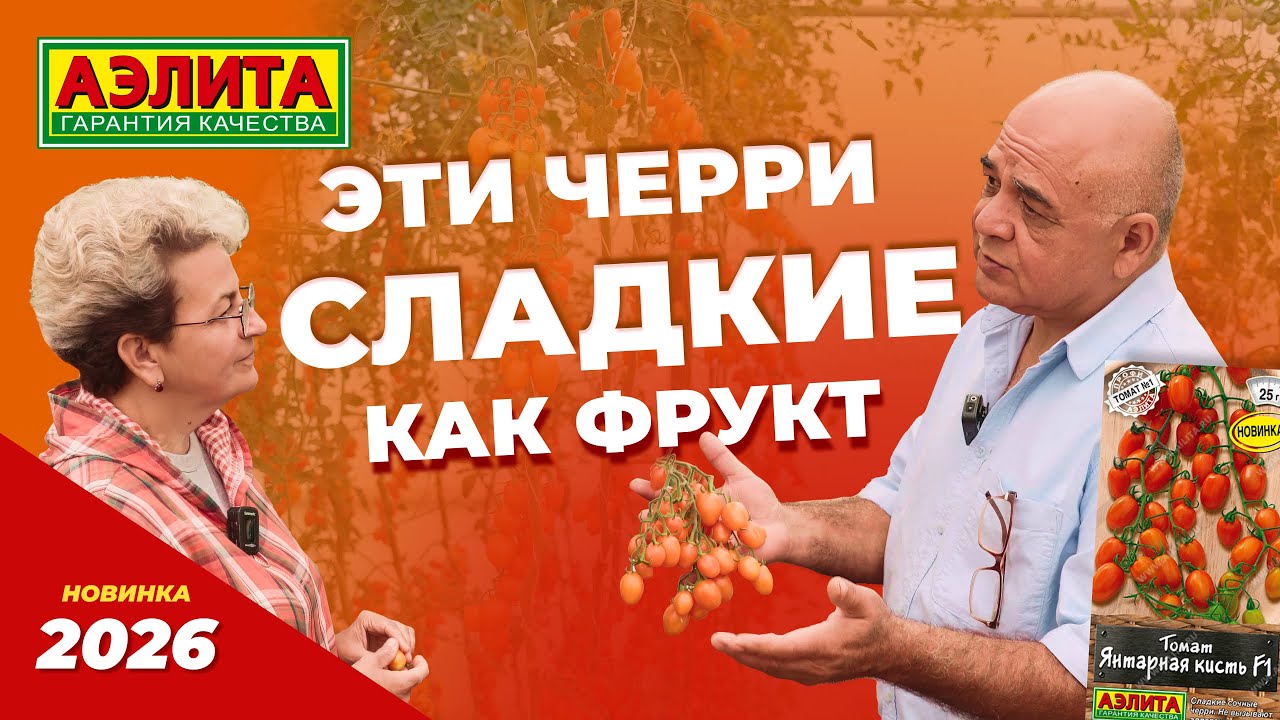 Эти ЧЕРРИ сладкие как фрукты! Новинки 2026! ЯНТАРНАЯ КИСТЬ F1