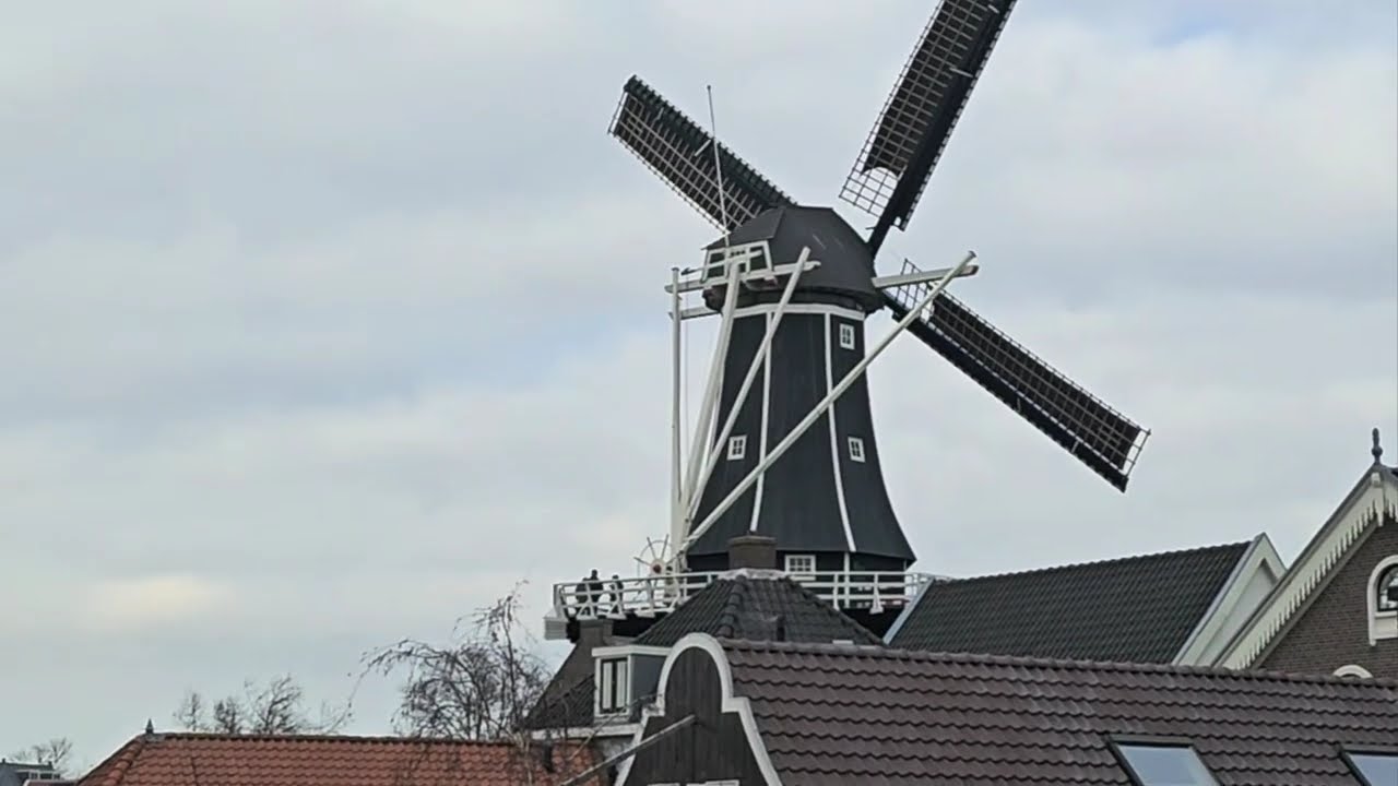 HAARLEM 🇳🇱 De Groot Heiligland au moulin d'Adriaan en passant par Grote Houtstraat