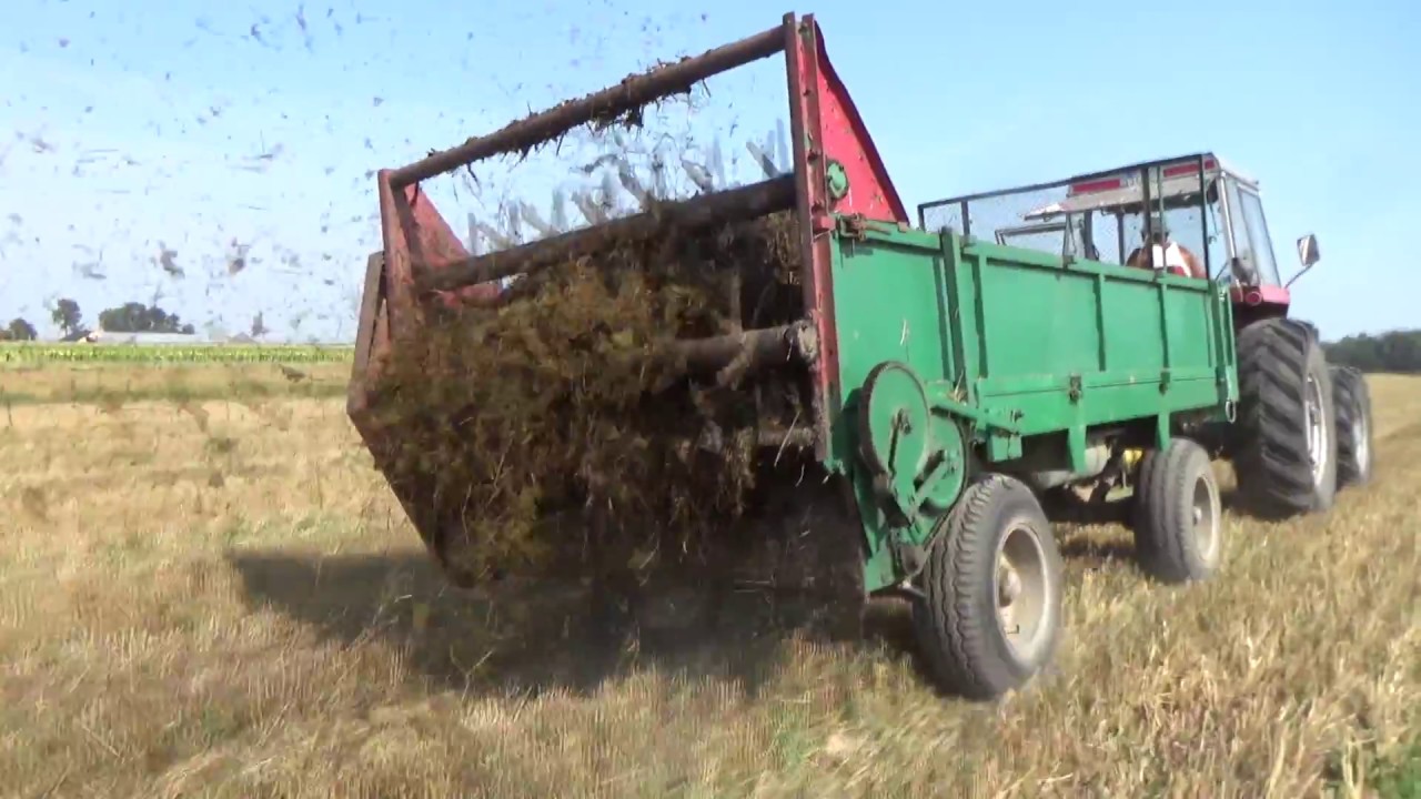 Wywóz Obornika & Podorywka 2018