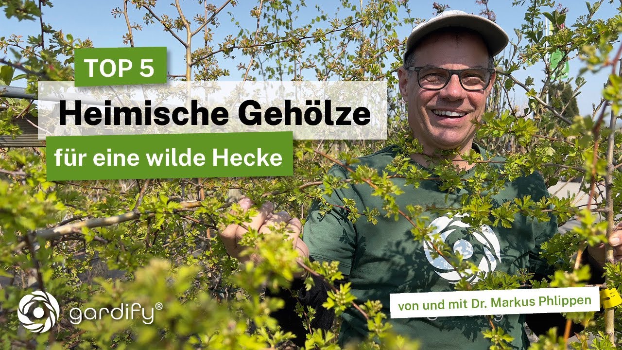 🌿 Top 5 heimische Wildgehölze für naturnahe Hecken | Mehr Artenvielfalt im Garten