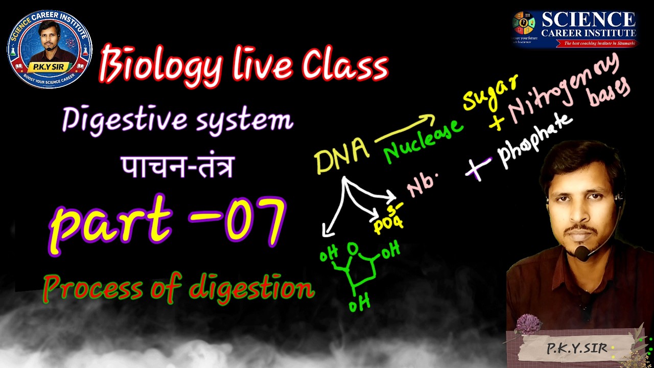 Digestive system part 07 [ Digestion pro.] by- P.K.Y.sir (Science Career Institute, sitamarhi)