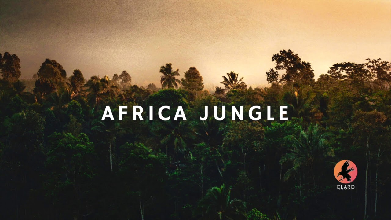 SOOLKING x NAPS Type Beat - "AFRICA JUNGLE" (Instru Rap 2021)