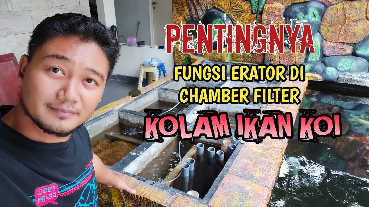 PENTINGNYA FUNGSI AERATOR DI CHAMBER FILTER KOLAM IKAN KOI