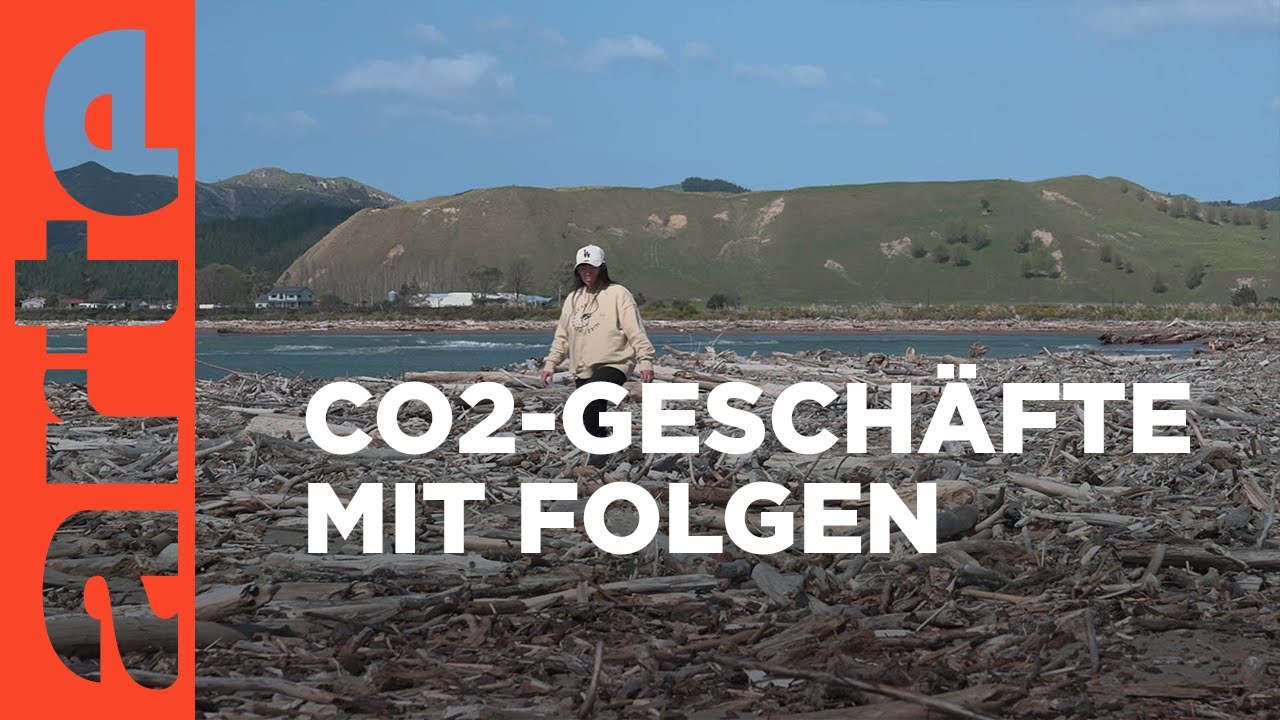 Neuseeland: Carbon Farms mit Nebenwirkungen | ARTE Reportage