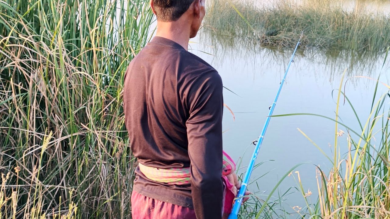 🐠🐋🐟rod fishing